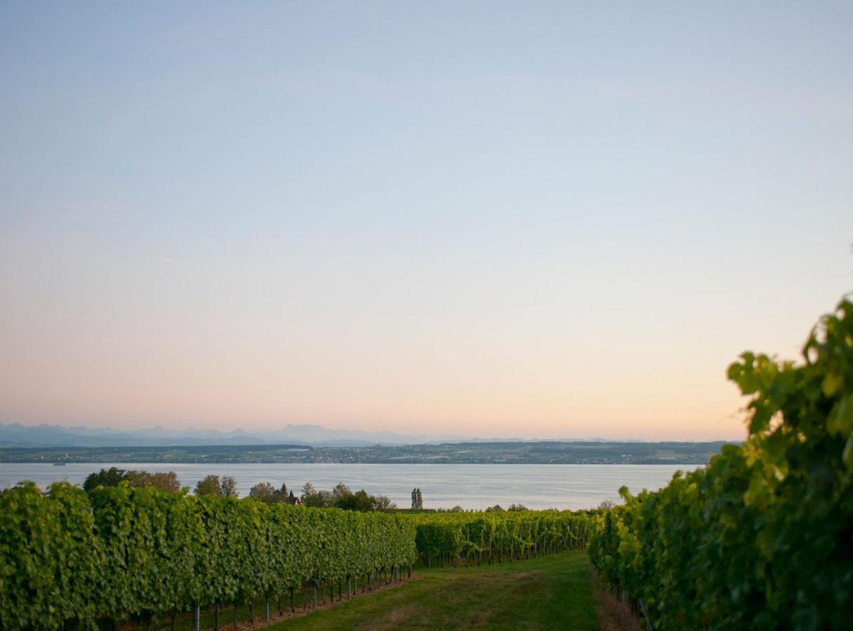 Hotel Heinzler Am See Immenstaad am Bodensee Eksteriør billede